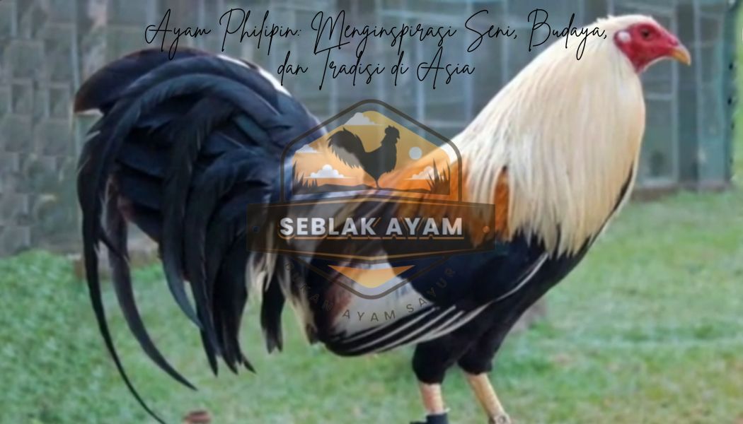 Ayam Philipin Menginspirasi Seni, Budaya, dan Tradisi di Asia