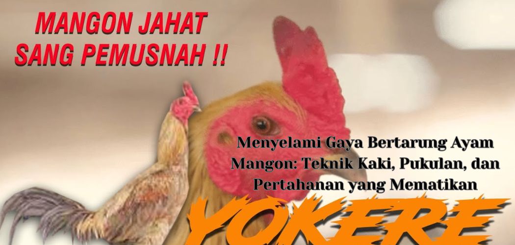 Menyelami Gaya Bertarung Ayam Mangon Teknik Kaki, Pukulan, dan Pertahanan yang Mematikan