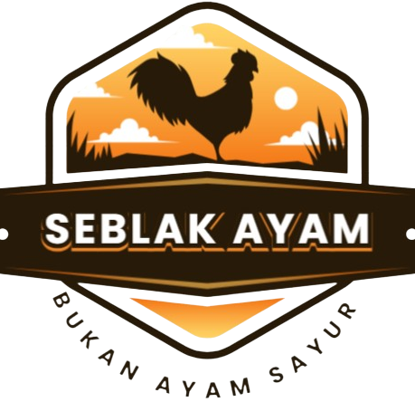 seblak_ayam