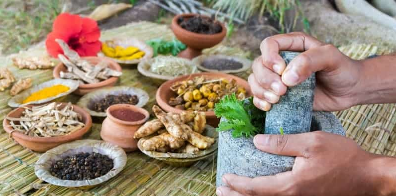 Memahami Pentingnya Cara Membuat Ramuan Ayam Aduan